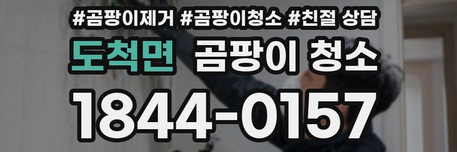 도척면 곰팡이 청소