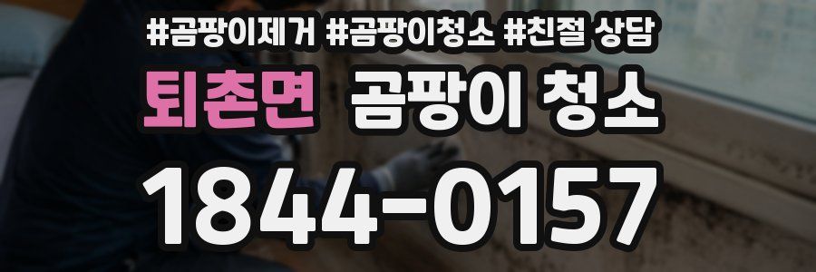 퇴촌면 곰팡이 청소