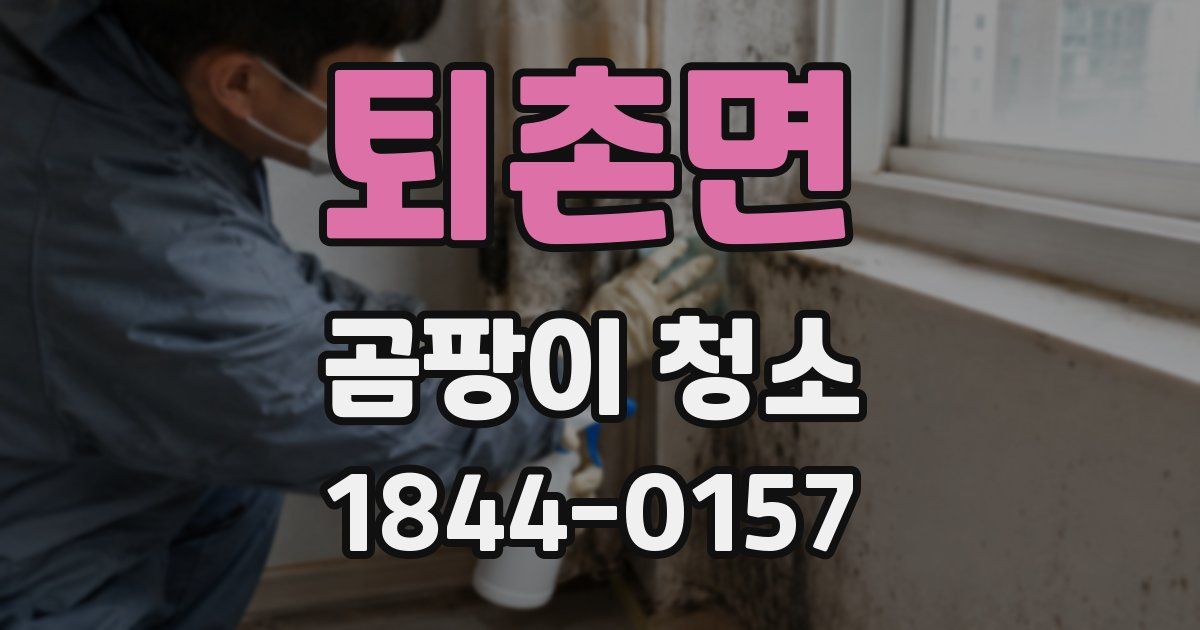 퇴촌면 곰팡이 청소