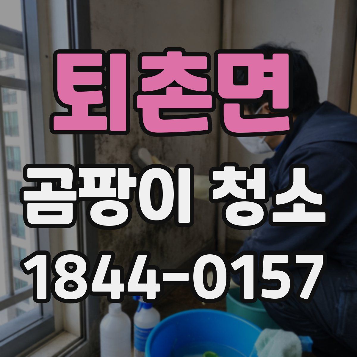 퇴촌면 곰팡이 청소