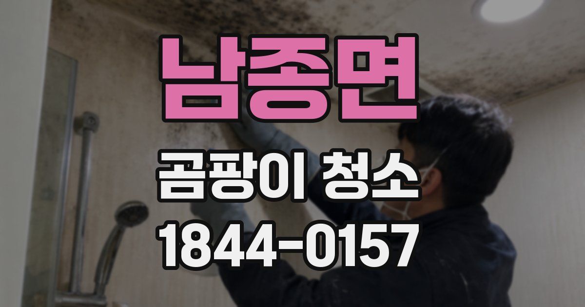 남종면 곰팡이 청소