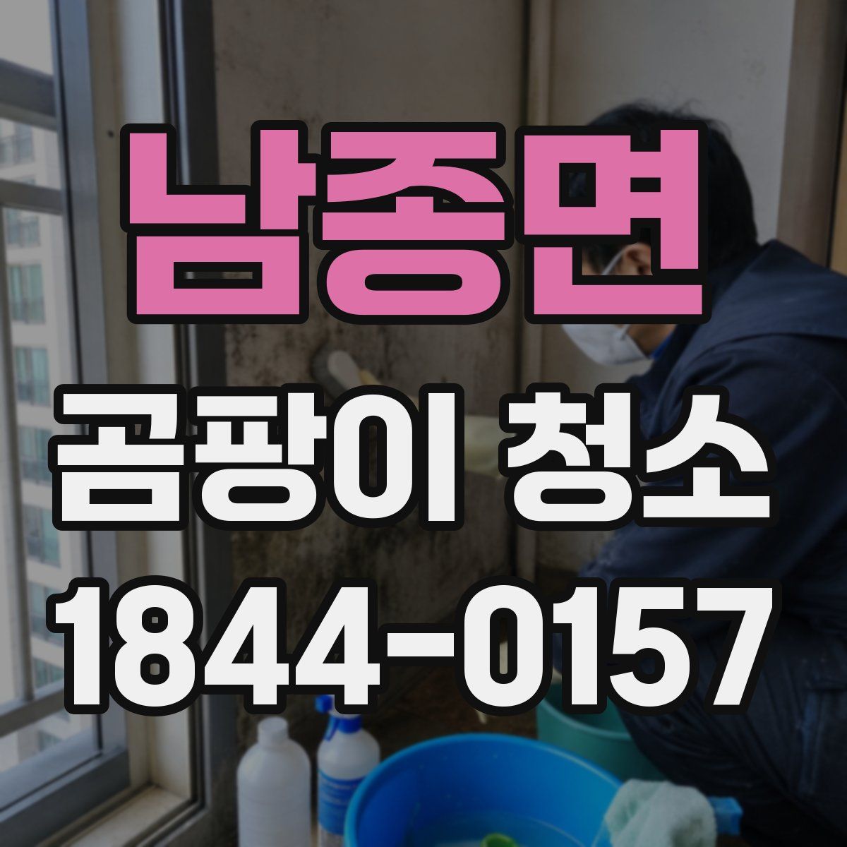 남종면 곰팡이 청소