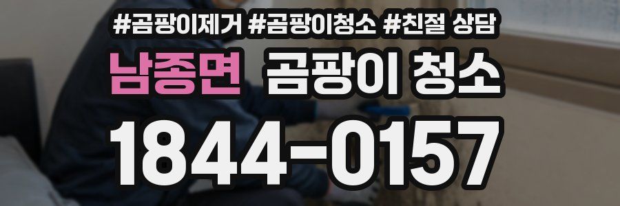 남종면 곰팡이 청소