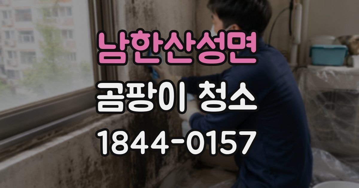 남한산성면 곰팡이 청소
