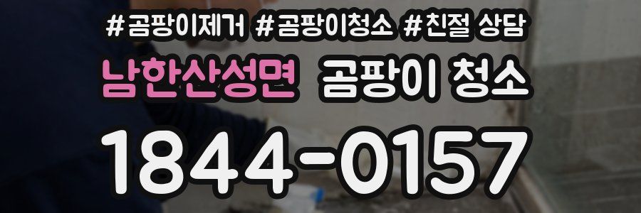 남한산성면 곰팡이 청소