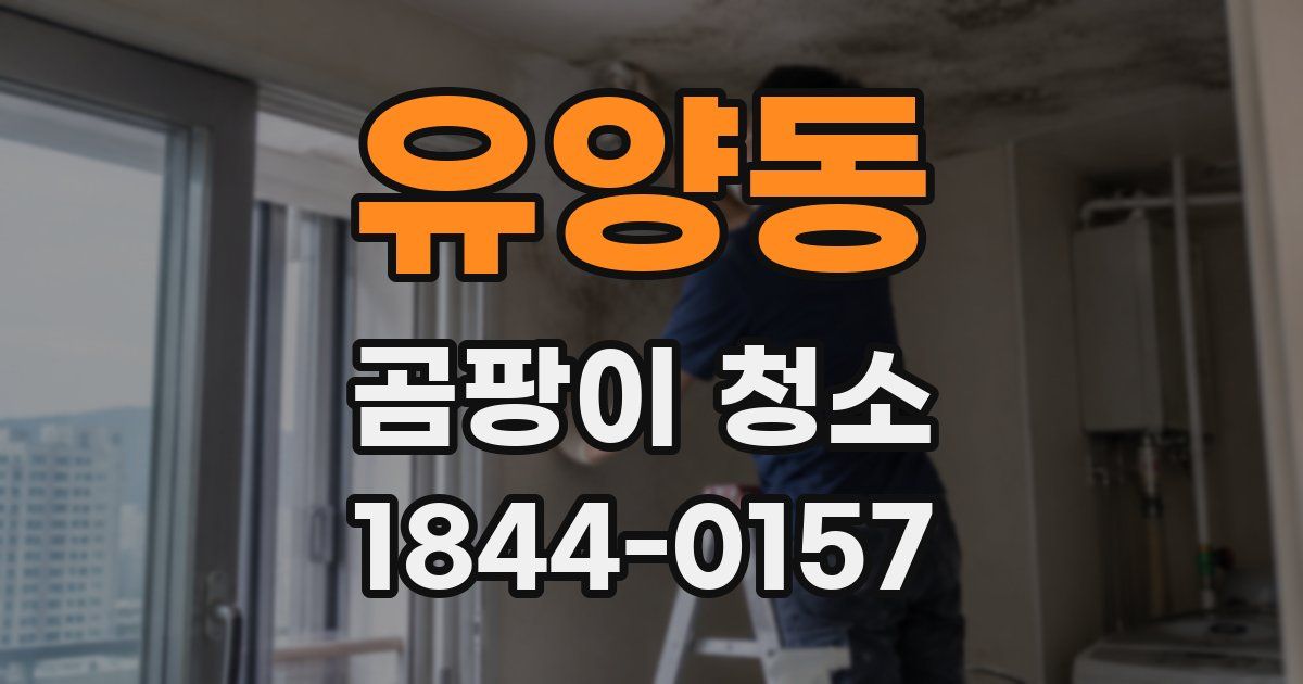 유양동 곰팡이 청소
