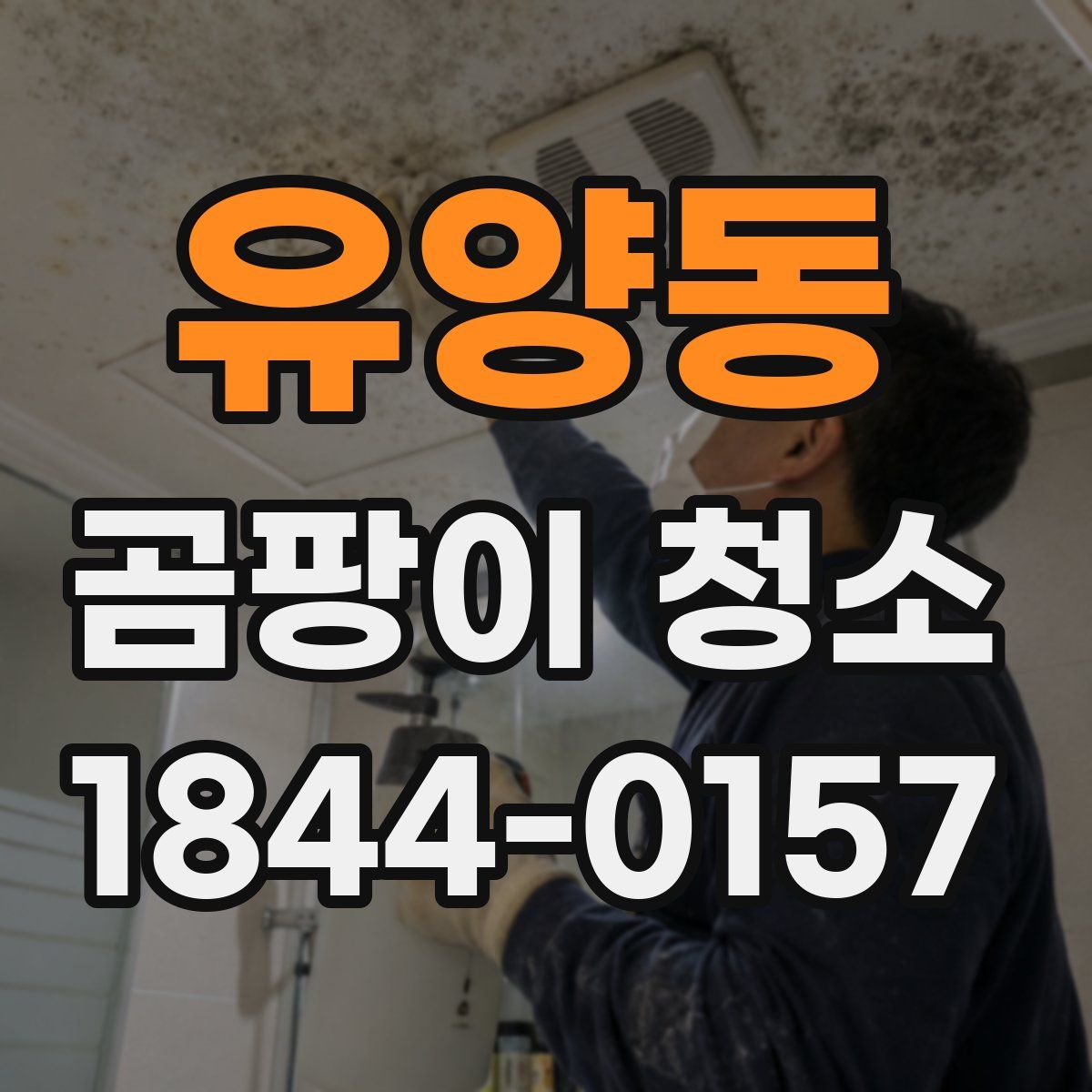 유양동 곰팡이 청소