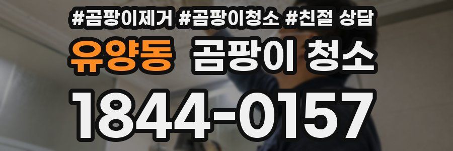 유양동 곰팡이 청소