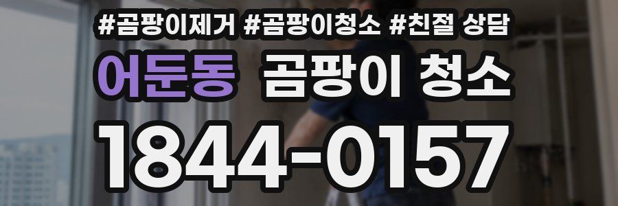 어둔동 곰팡이 청소