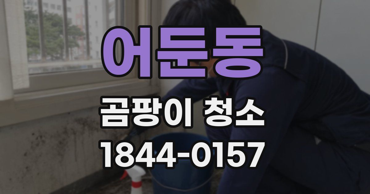 어둔동 곰팡이 청소