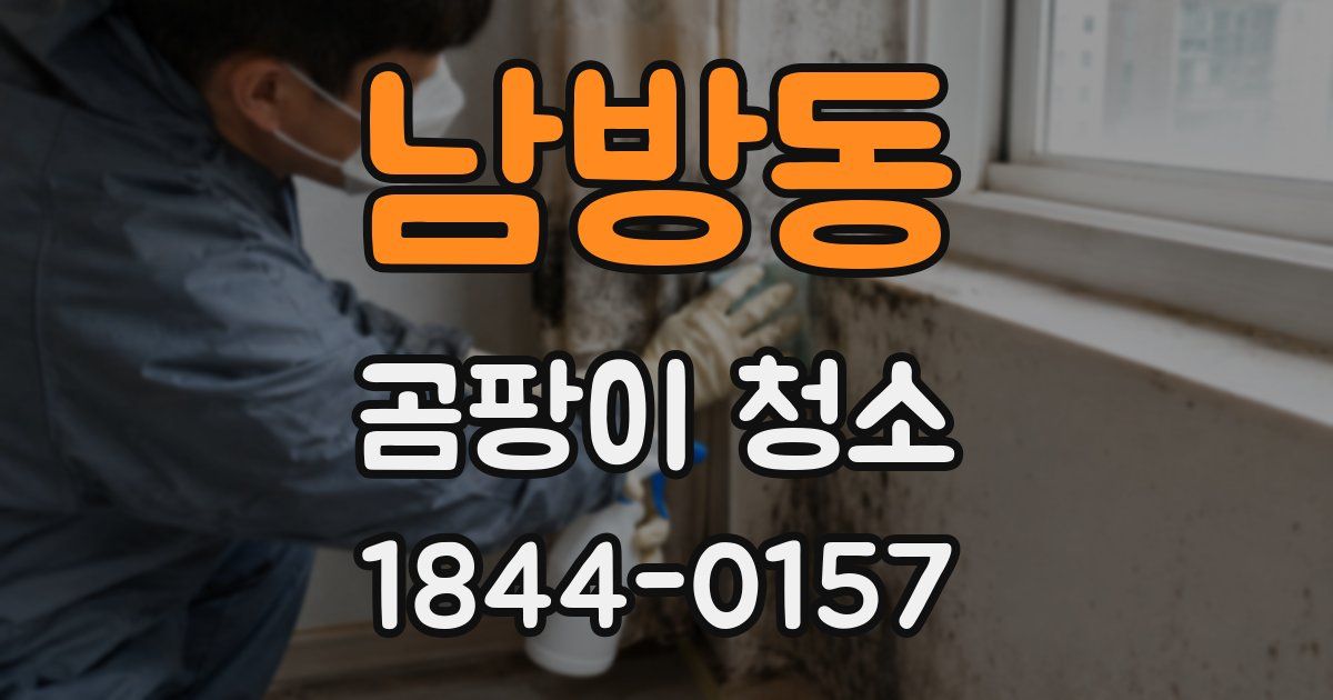 남방동 곰팡이 청소