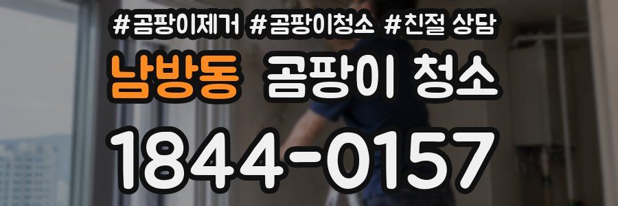 남방동 곰팡이 청소