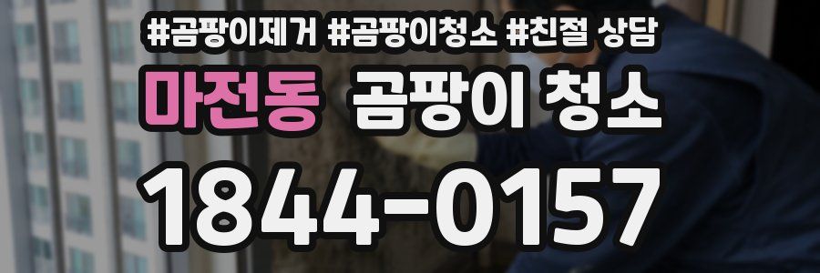 마전동 곰팡이 청소