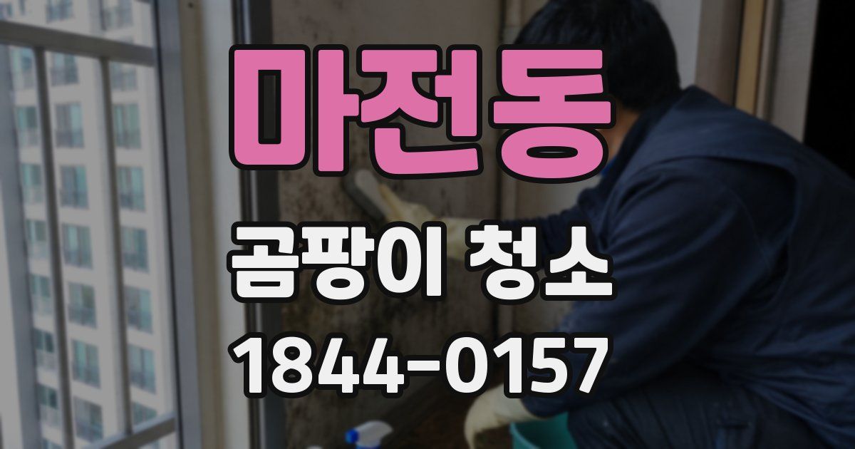 마전동 곰팡이 청소