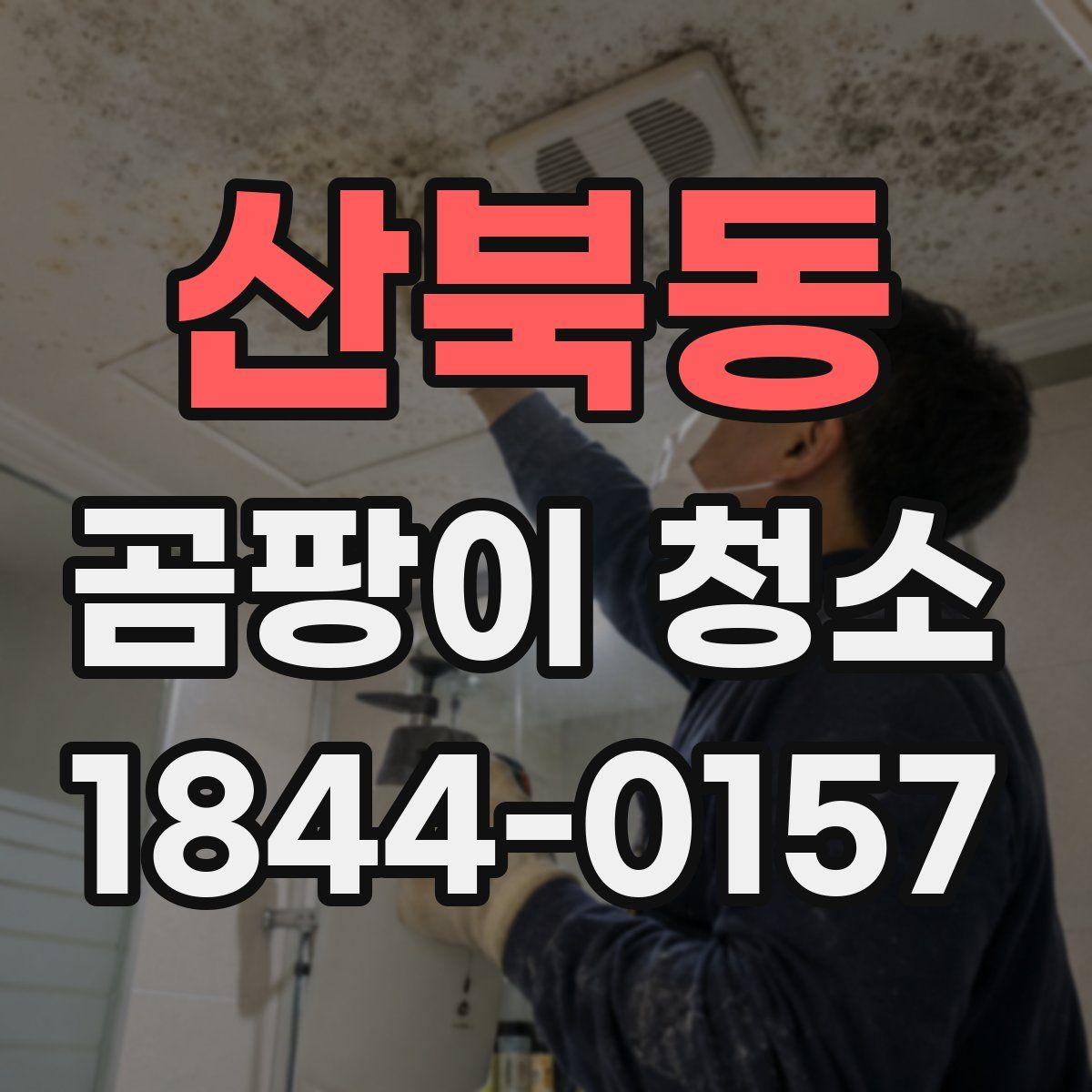 산북동 곰팡이 청소