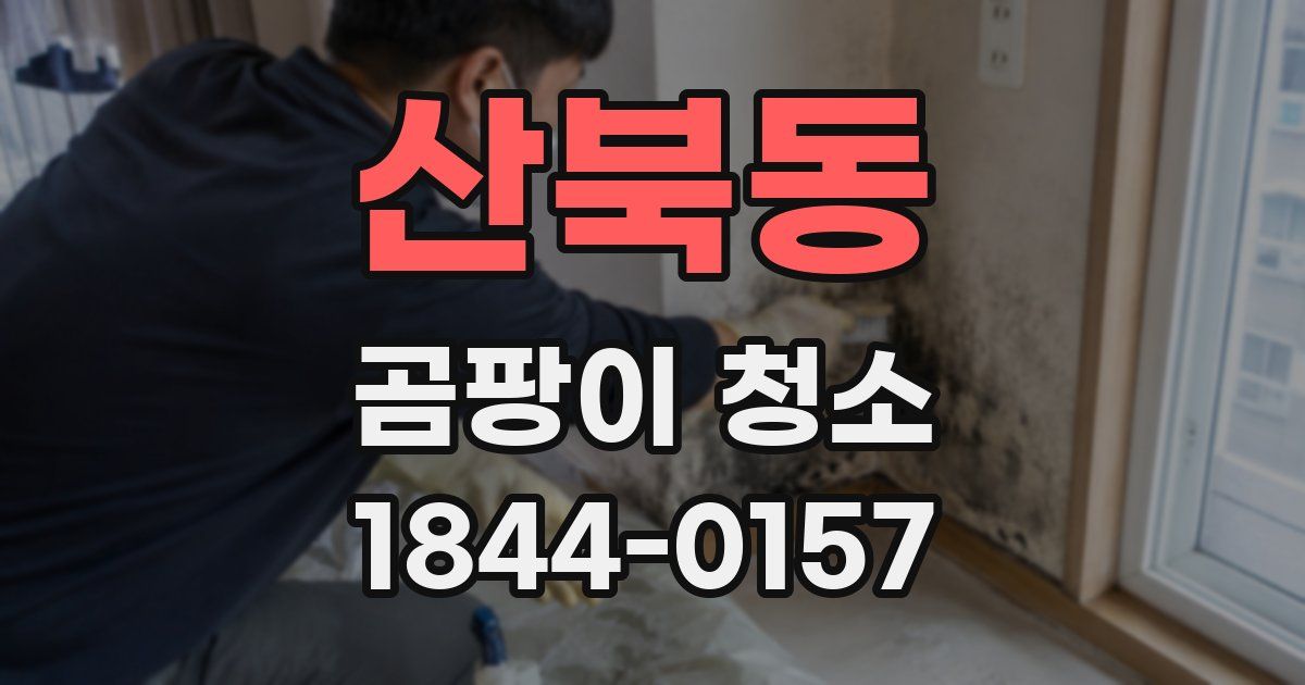 산북동 곰팡이 청소
