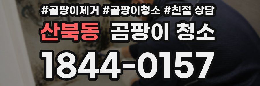 산북동 곰팡이 청소