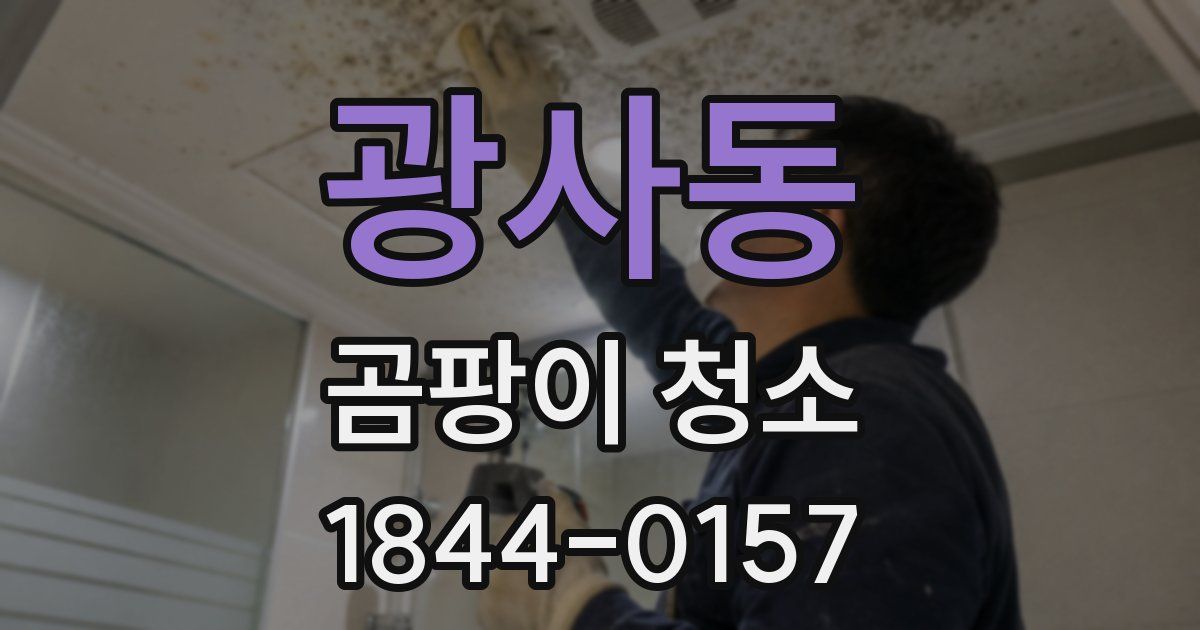 광사동 곰팡이 청소