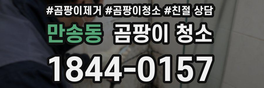 만송동 곰팡이 청소
