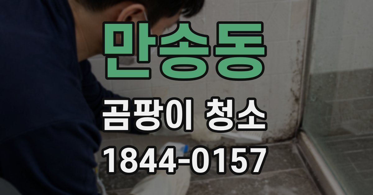만송동 곰팡이 청소