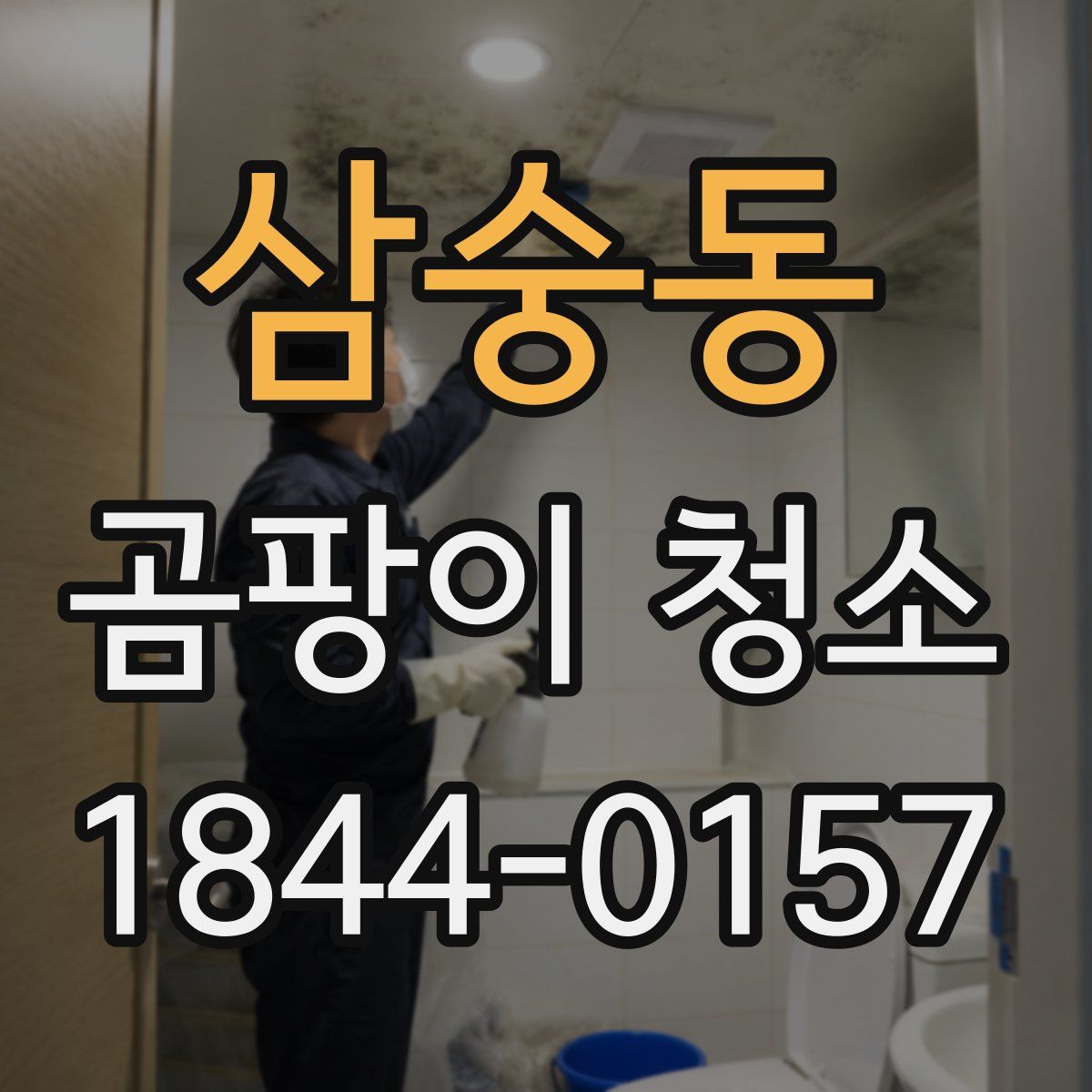 삼숭동 곰팡이 청소