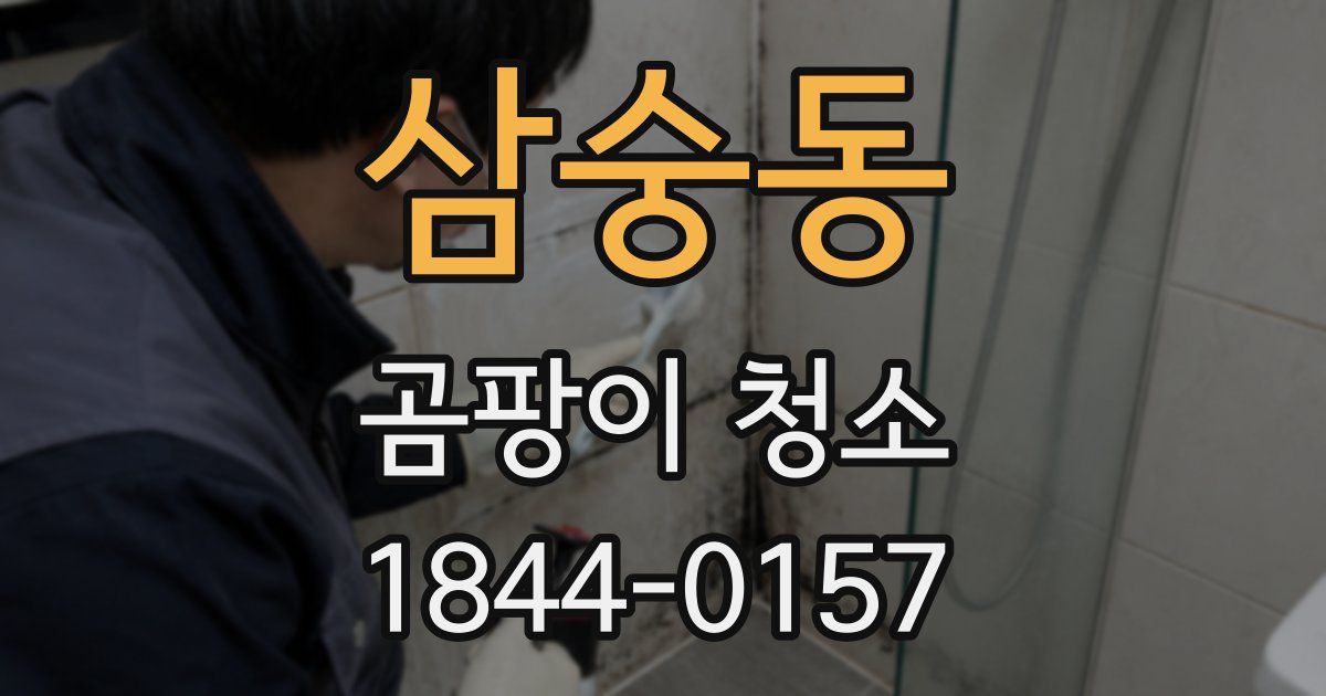 삼숭동 곰팡이 청소