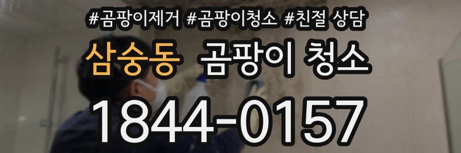 삼숭동 곰팡이 청소