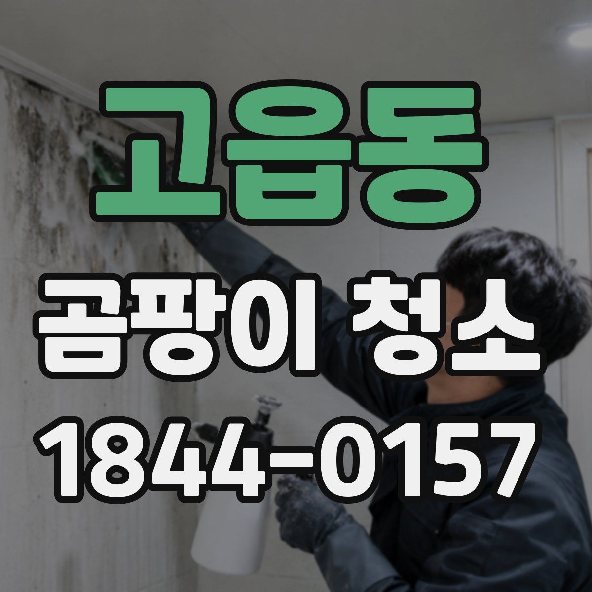 고읍동 곰팡이 청소