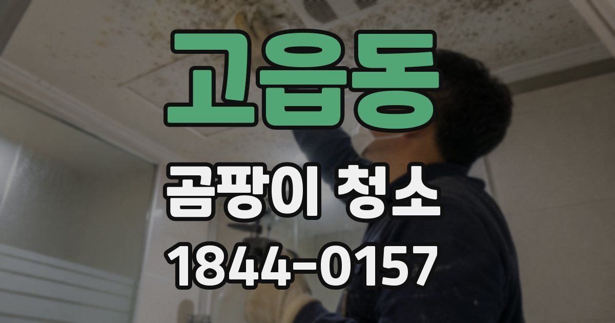 고읍동 곰팡이 청소