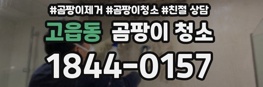 고읍동 곰팡이 청소