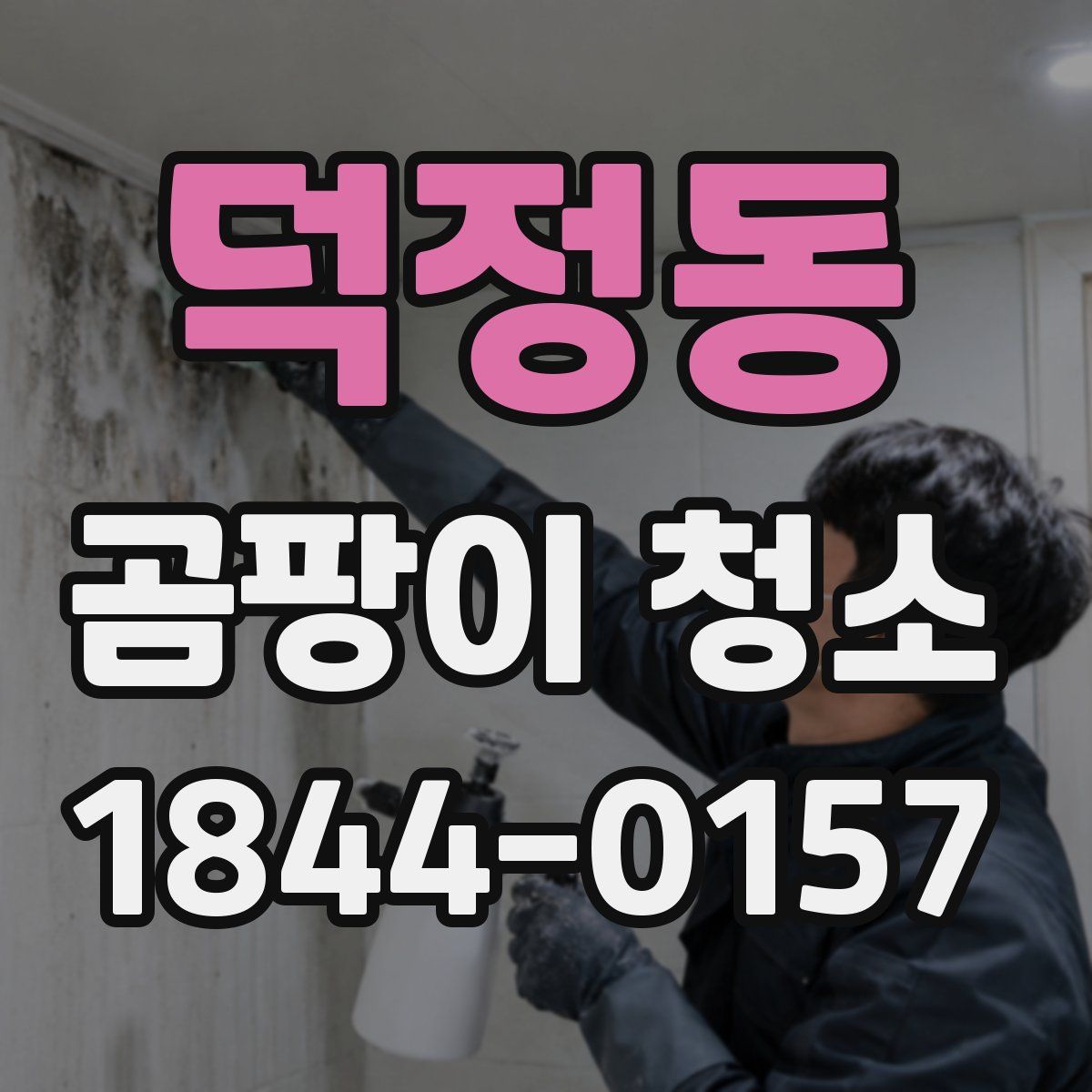덕정동 곰팡이 청소