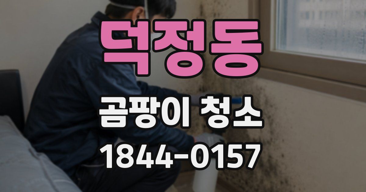 덕정동 곰팡이 청소