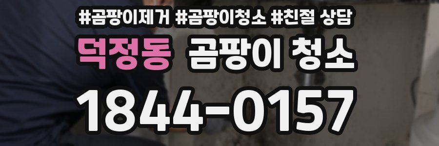 덕정동 곰팡이 청소