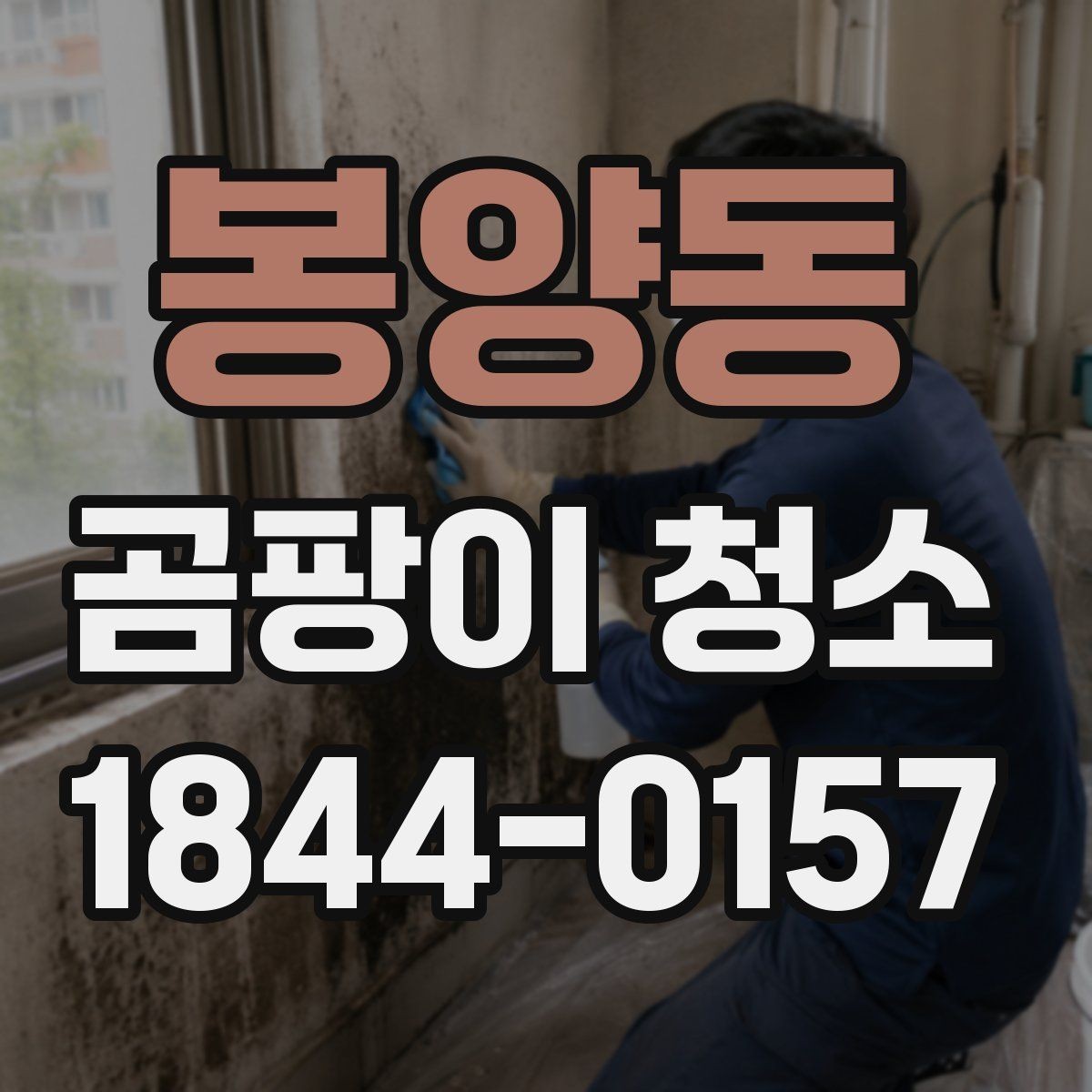 봉양동 곰팡이 청소 업체 선택 시 신경 써야 할 부분