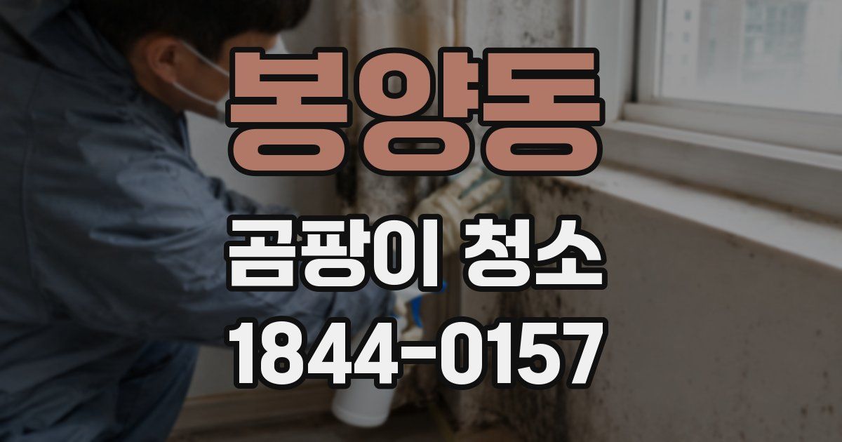 봉양동 곰팡이 청소