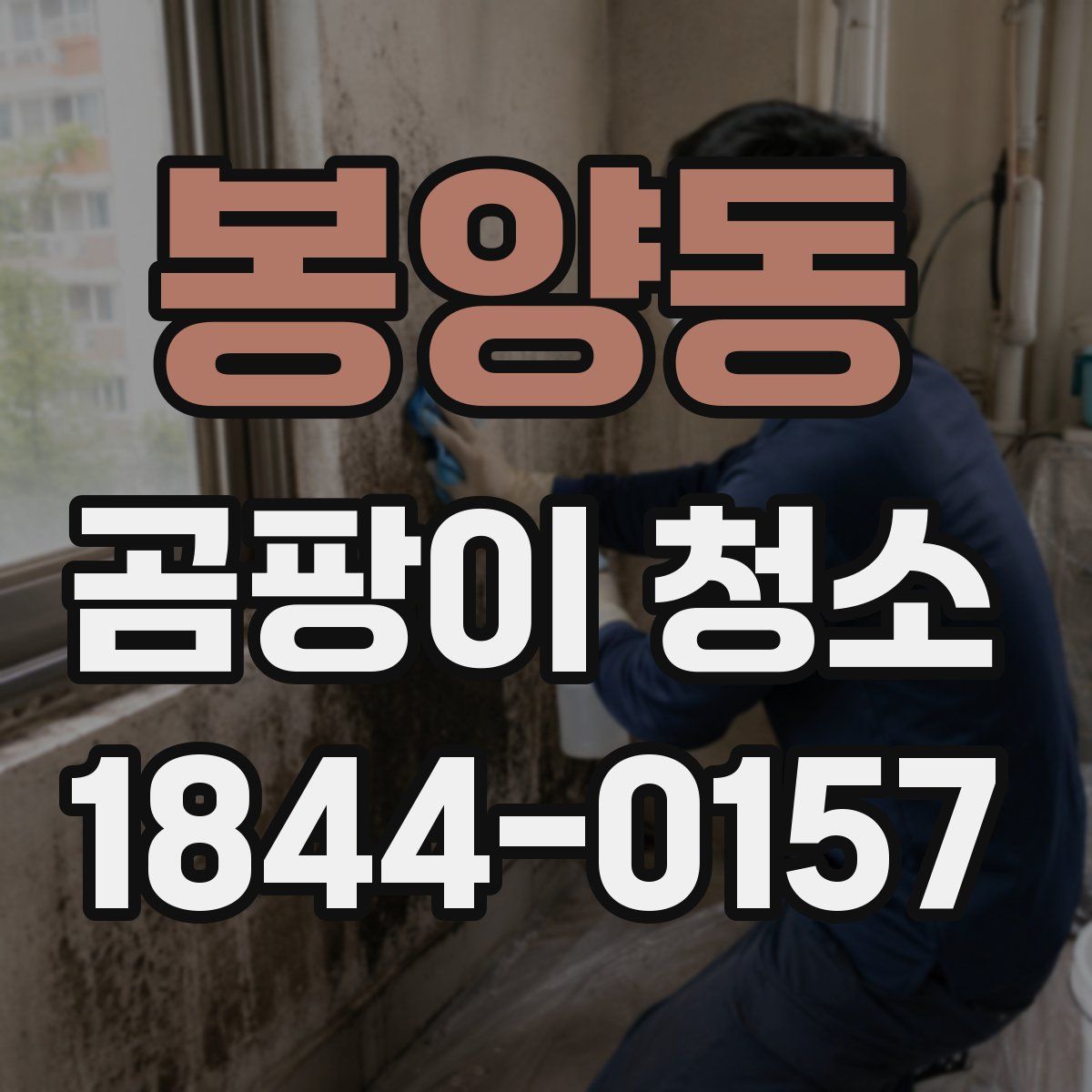 봉양동 곰팡이 청소