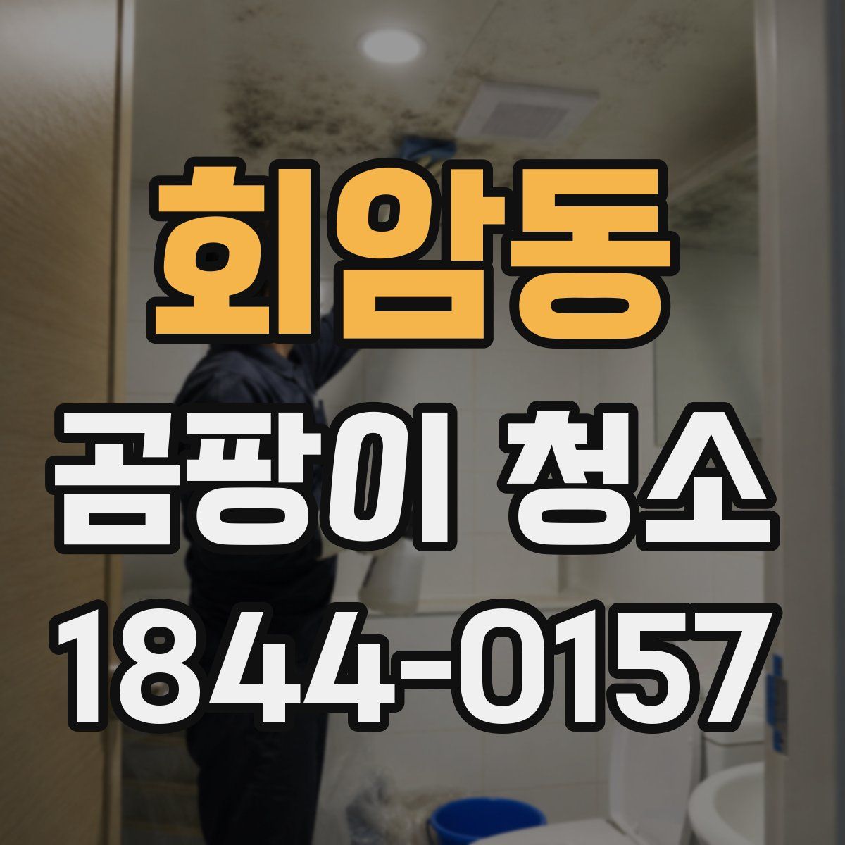 회암동 곰팡이 청소