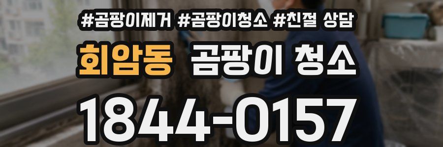 회암동 곰팡이 청소