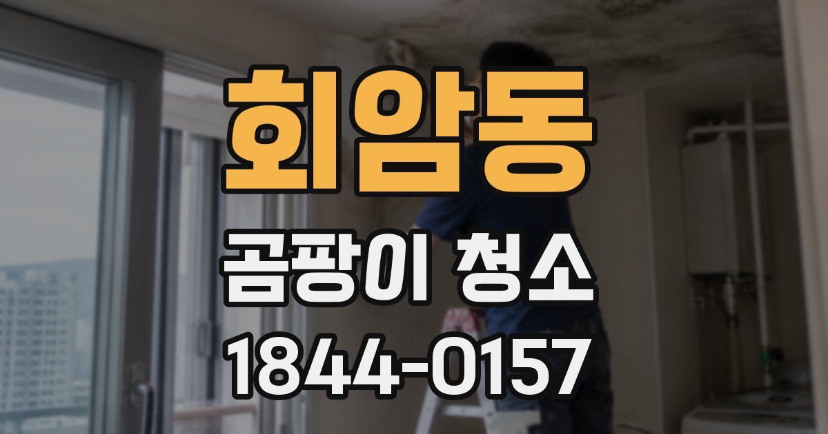 회암동 곰팡이 청소