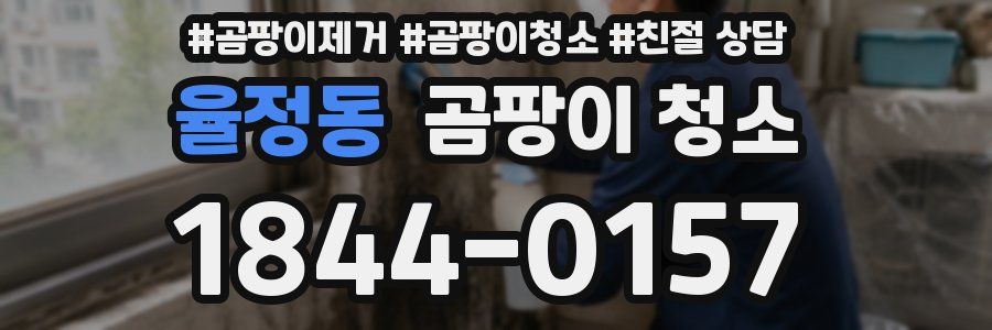 율정동 곰팡이 청소