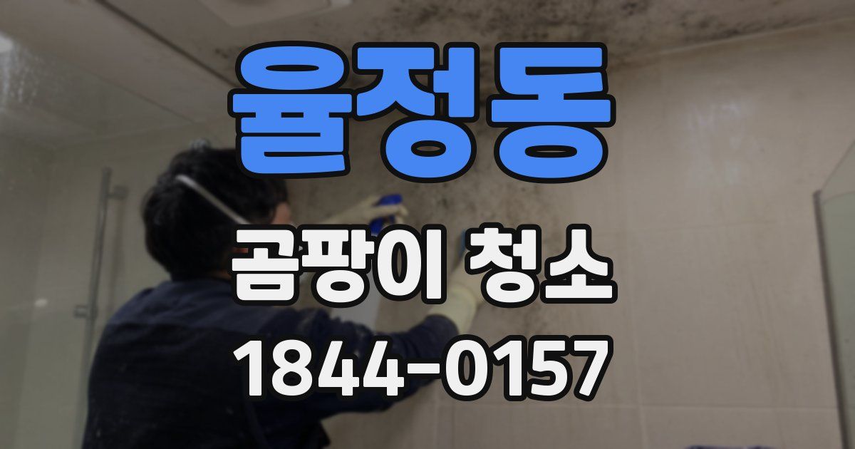율정동 곰팡이 청소