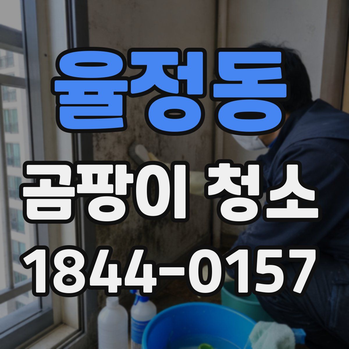 율정동 곰팡이 청소