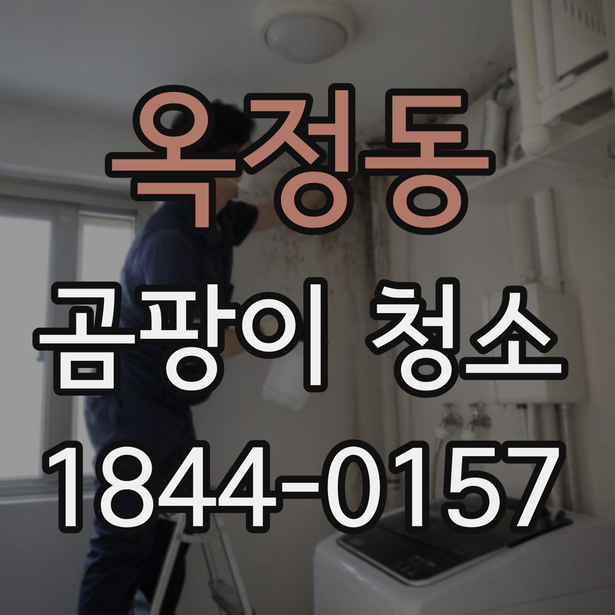 옥정동 곰팡이 청소