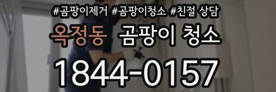 옥정동 곰팡이 청소