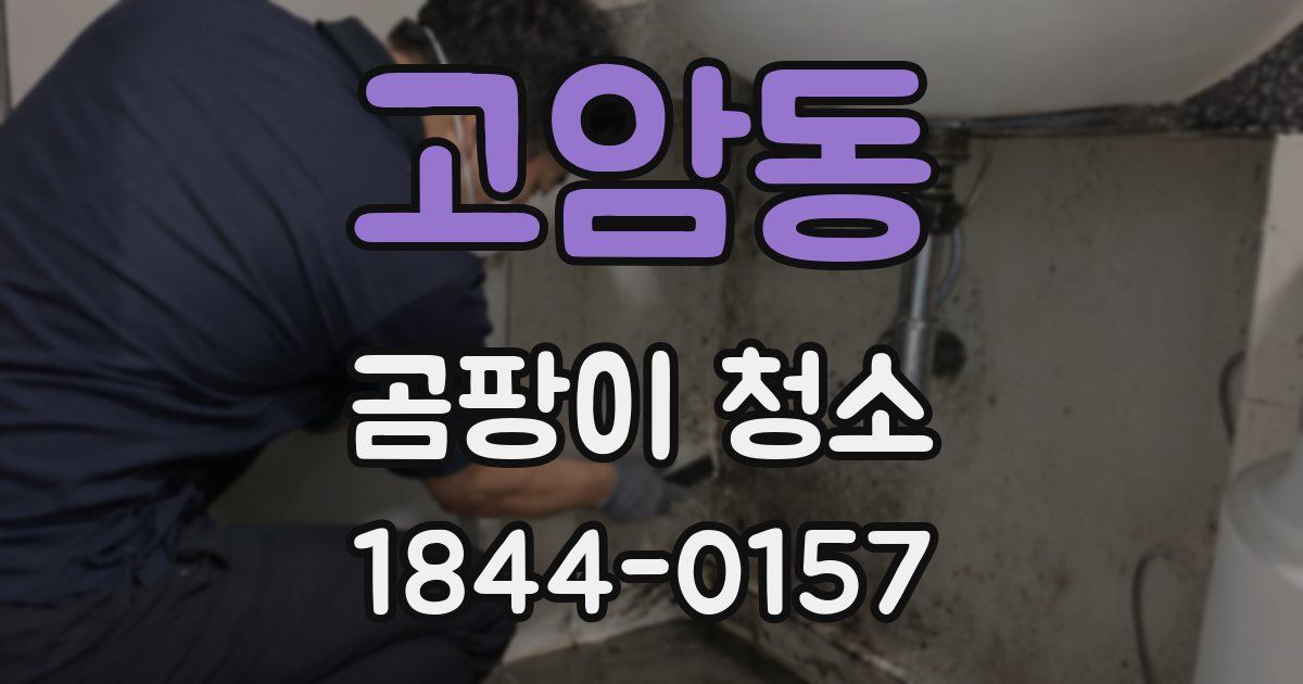 고암동 곰팡이 청소