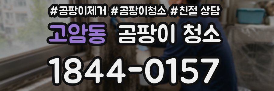 고암동 곰팡이 청소