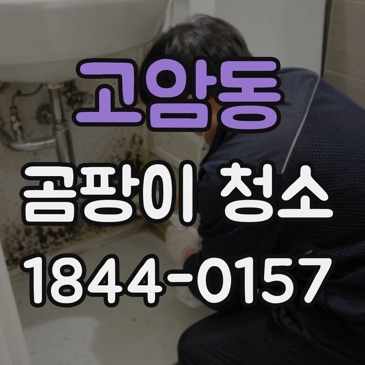 고암동 곰팡이 청소