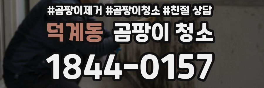 덕계동 곰팡이 청소