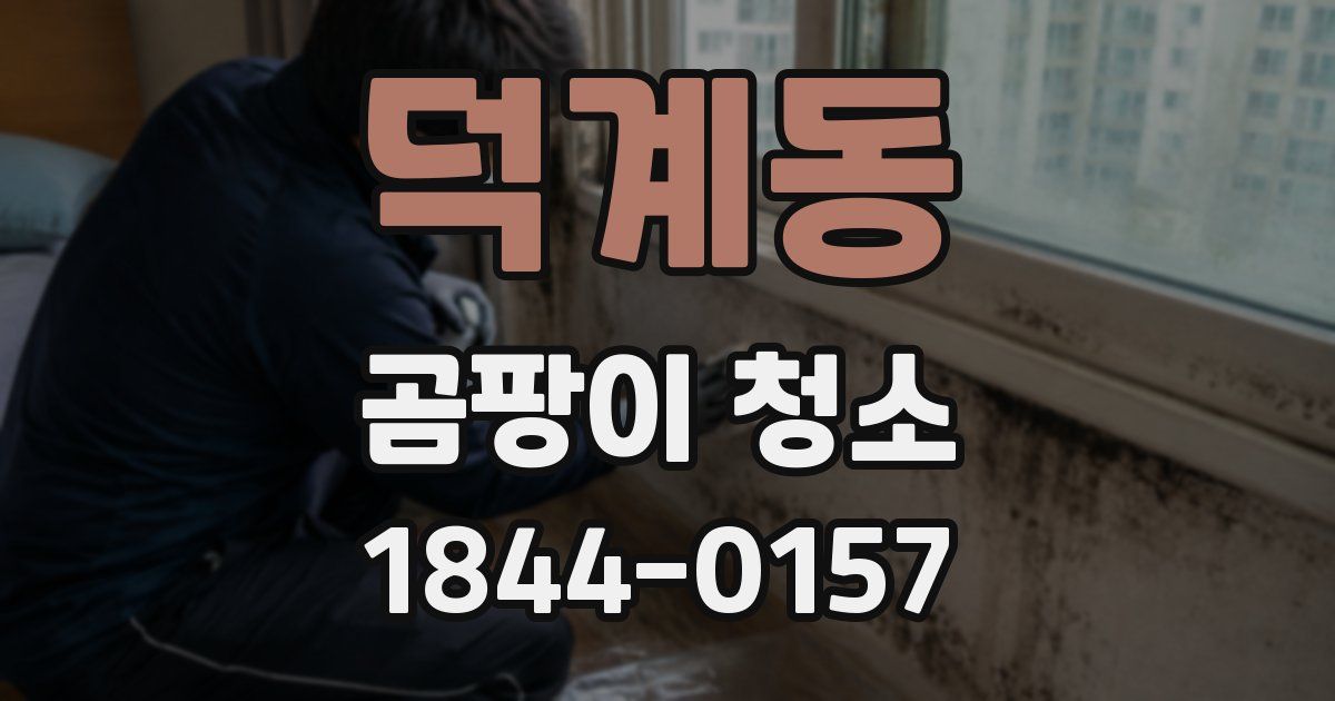 덕계동 곰팡이 청소