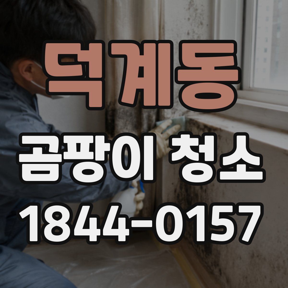 덕계동 곰팡이 청소